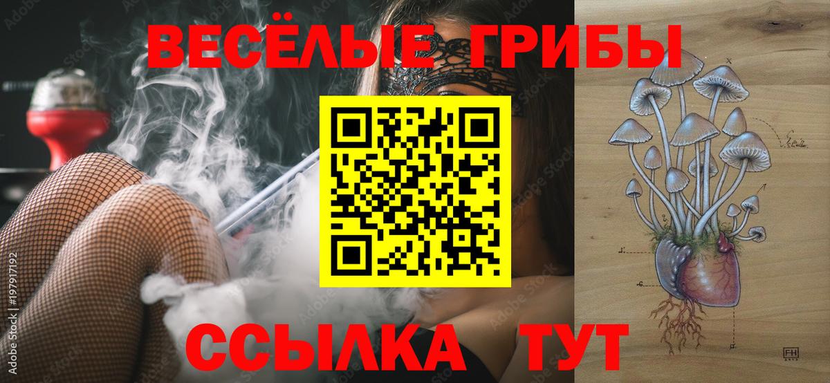 Малгобек  Галлюциногенные грибы MAGIC MUSHROOMS  Вход с VPN 